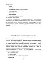 Biznesa plāns 'Biznesa plāns ēdināšanas uzņēmumam', 23.