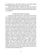 Referāts 'Korupcijas novēršanas un apkarošanas biroja statuss, struktūra un kompetence', 14.