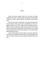 Referāts 'Tautas padome un tās loma LR izveidošanā (1918.-1920.)', 3.