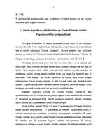 Referāts 'Tautas padome un tās loma LR izveidošanā (1918.-1920.)', 8.