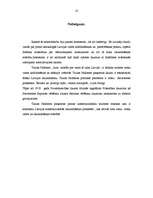 Referāts 'Tautas padome un tās loma LR izveidošanā (1918.-1920.)', 10.