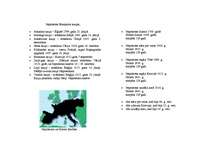 Konspekts 'Napoleons Bonaparts', 2.