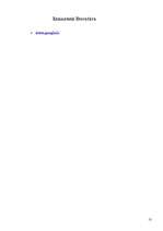 Referāts 'Rainis', 13.