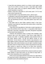 Referāts 'Līzinga tirgus Latvijā', 6.