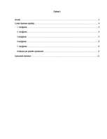 Referāts 'Tiesas sprieduma analīze', 2.