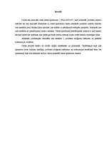 Referāts 'Tiesas sprieduma analīze', 3.