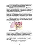 Referāts 'Elpošanas sistēmas slimības', 4.