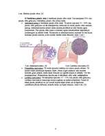 Referāts 'Elpošanas sistēmas slimības', 6.