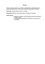 Referāts 'Kārļa Ulmaņa autoritārais režīms Latvijā', 3.