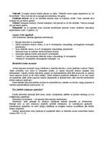 Referāts 'Ceļojums pa Eiropas valstīm', 6.