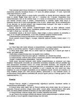 Referāts 'Ceļojums pa Eiropas valstīm', 9.