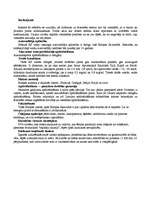 Referāts 'Ceļojums pa Eiropas valstīm', 16.