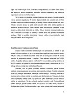 Eseja 'Automašīnu drošība', 3.