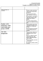 Prakses atskaite 'Prakses plāns. Novērošana', 7.