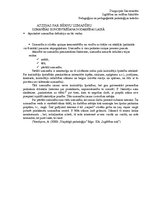 Prakses atskaite 'Prakses plāns. Novērošana', 29.