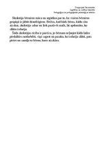 Prakses atskaite 'Prakses plāns. Novērošana', 40.