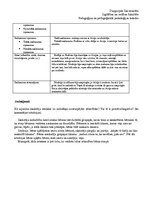 Prakses atskaite 'Prakses plāns. Novērošana', 45.