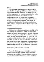 Prakses atskaite 'Prakses plāns. Novērošana', 75.