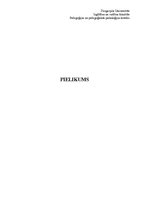 Prakses atskaite 'Prakses plāns. Novērošana', 78.