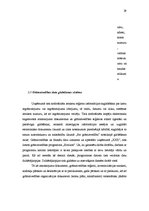 Prakses atskaite 'Prakses atskaite grāmatvedībā', 29.