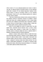 Prakses atskaite 'Prakses atskaite grāmatvedībā', 33.