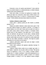 Prakses atskaite 'Prakses atskaite grāmatvedībā', 37.