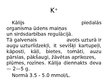 Prezentācija 'Elektrolītu metabolisma traucējumi', 12.