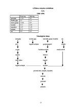 Referāts 'Ēdināšanas uzņēmuma ēdienkartes sastādīšana', 13.