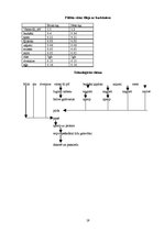 Referāts 'Ēdināšanas uzņēmuma ēdienkartes sastādīšana', 19.