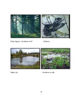 Referāts 'Eko taka "Pie neskartas dabas Susāju pagastā"', 19.