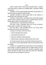 Referāts 'Organizēšanas funkcija menedžmentā', 4.