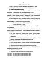 Referāts 'Organizēšanas funkcija menedžmentā', 11.