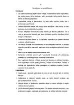 Referāts 'Organizēšanas funkcija menedžmentā', 25.