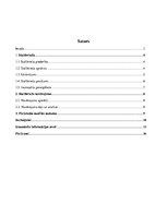 Referāts 'Briežu medības', 1.