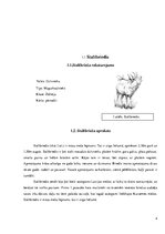 Referāts 'Briežu medības', 4.