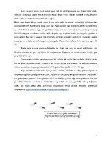 Referāts 'Briežu medības', 5.