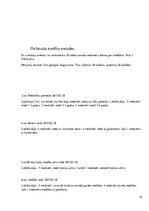 Referāts 'Briežu medības', 10.