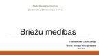 Referāts 'Briežu medības', 20.