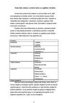 Referāts 'Skolotāja tēls latviešu literatūras prozas darbos 19.gs. un 20.gs. vidū', 5.