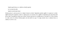 Paraugs 'Rotaļnodarbība "Drošība mežā"', 3.