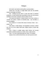 Referāts 'Karš', 13.