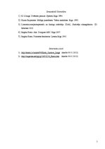 Referāts 'Mātes arhetips latviešu literatūrā', 5.