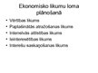 Prezentācija 'Uzņēmējdarbības plānošana un kontrole', 8.