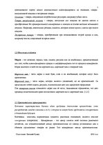 Referāts 'Маркетинг', 5.