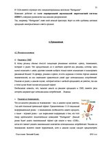 Referāts 'Маркетинг', 22.