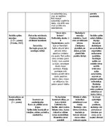 Konspekts 'Rotaļu analīze', 3.