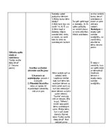 Konspekts 'Rotaļu analīze', 5.
