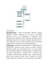 Referāts 'Беспозвоночные в медицине', 2.