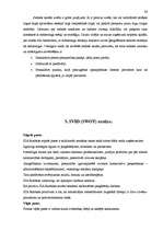 Referāts 'Tirgus izpēte SIA "Ronbaks"', 22.