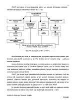 Biznesa plāns 'Biznesa plāns pašvaldības uzņēmumam pēc reorganizācijas', 11.